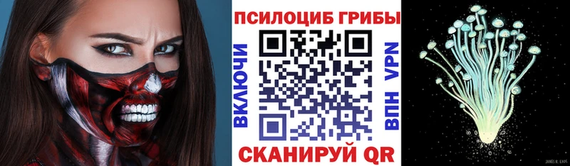 Галлюциногенные грибы прущие грибы  хочу наркоту  Большой Камень 